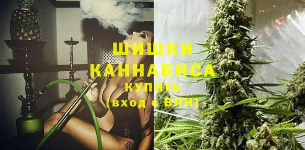 молекула духа Балахна