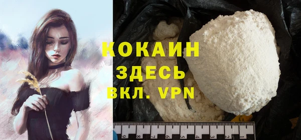 молекула духа Балахна
